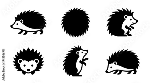 collection of hedgehog, 6 filled black minimal icon vector set , white background , PNG and SVG isolate