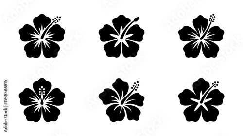 collection of hibiscus, 6 filled black minimal icon vector set , white background , PNG and SVG isolate