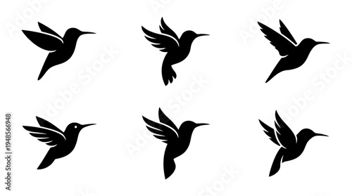 collection of hummingbird, 6 filled black minimal icon vector set , white background , PNG and SVG isolate