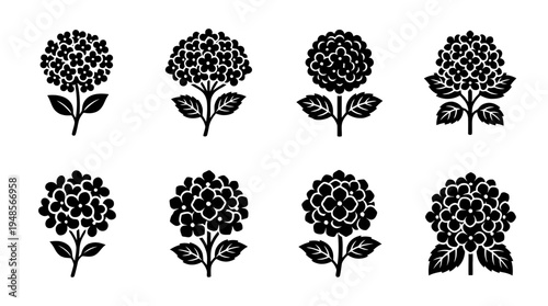 collection of hydrangea, 6 filled black minimal icon vector set , white background , PNG and SVG isolate