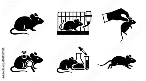 collection of laboratory mouse, 6 filled black minimal icon vector set , white background , PNG and SVG isolate