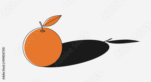 Orange Fruit With Leaf Attached.