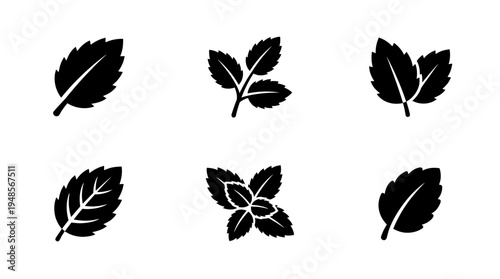 collection of mint leaf, 6 filled black minimal icon vector set , white background , PNG and SVG isolate