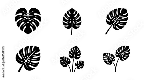 collection of monstera leaf, 6 filled black minimal icon vector set , white background , PNG and SVG isolate