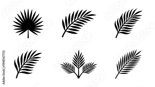 collection of palm leaf, 6 filled black minimal icon vector set , white background , PNG and SVG isolate