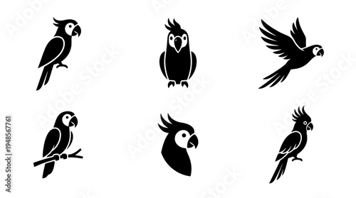 collection of parrot, 6 filled black minimal icon vector set , white background , PNG and SVG isolate