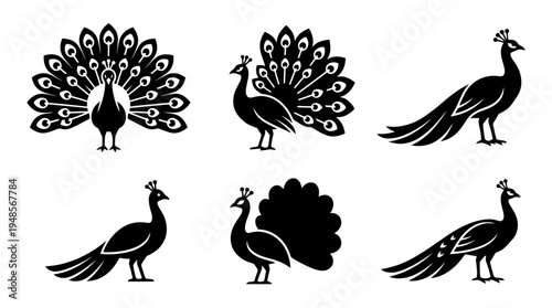 collection of peacock, 6 filled black minimal icon vector set , white background , PNG and SVG isolate