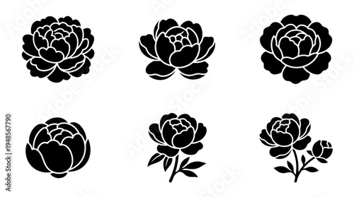 collection of peony, 6 filled black minimal icon vector set , white background , PNG and SVG isolate