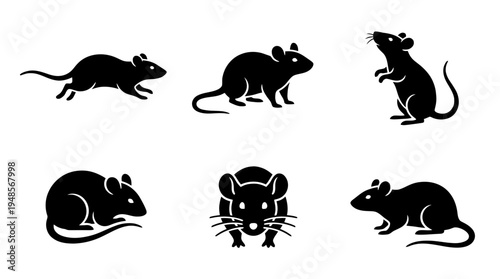 collection of rat, 6 filled black minimal icon vector set , white background , PNG and SVG isolate