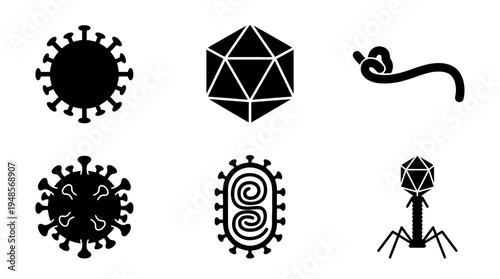 collection of virus, 6 filled black minimal icon vector set , white background , PNG and SVG isolate