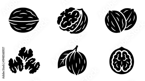 collection of walnuts, 6 filled black minimal icon vector set , white background , PNG and SVG isolate