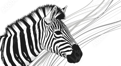 Close-up artistic portrait of a zebra head showing detailed black and white stripes and a dark muzzle against a background of thin grey lines.