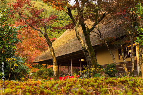 日本の風景・秋　佐賀　紅葉の九年庵