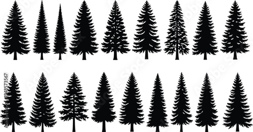 Large Collection of Black Pine Tree Silhouettes, Coniferous Evergreen Forest Fir and Spruce Timber Icons Isolated on White Background Set