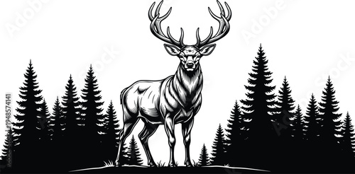 Majestic stag deer standing in pine forest silhouette black and white vector illustration for wilderness nature and hunting design