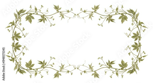 Elegant botanical frame with delicate green leaves and small white flowers creating decorative border on transparent background for wedding invitations.