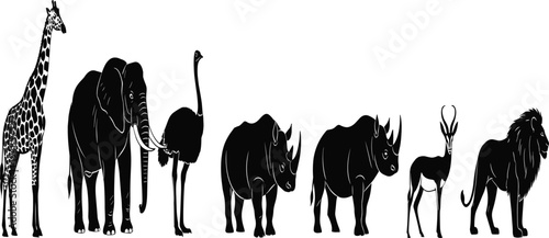 Row of wild african safari animal silhouettes vector illustration including giraffe elephant ostrich rhino gazelle and lion isolated on white background for zoo nature design