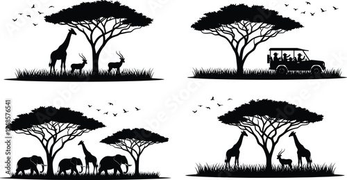 Set of African savanna landscape silhouettes featuring giraffes elephants safari jeep and acacia trees isolated on white background vector illustration.