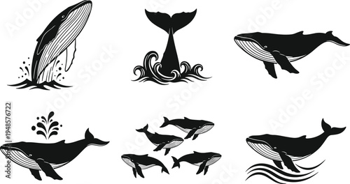 Set of black and white whale illustrations featuring humpback whale breaching tail fluke and ocean waves isolated on white background.