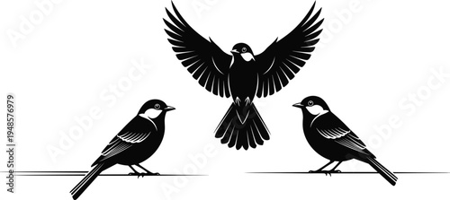 Set of black bird silhouettes featuring small garden birds perched and flying with spread wings isolated on white background vector.