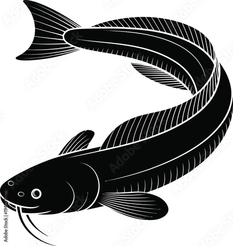 Black and white illustration of a detailed eel with flowing fins