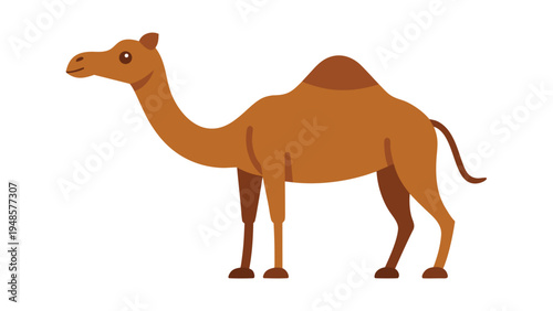 A side profile illustration of a brown dromedary camel with a single hump and dark brown accents standing on a white background.