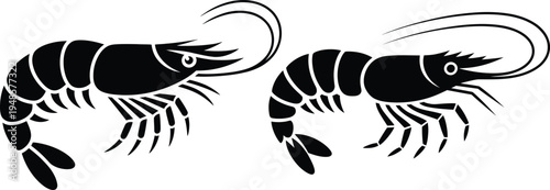 Pair of black and white shrimp illustrations with detailed features