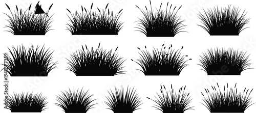 Set of black grass silhouettes, wild meadow plant tufts, field reed outlines, and herbal bush elements isolated on white background.