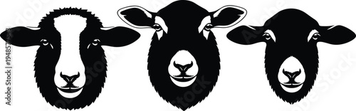 Vector silhouette of three cows heads in black and white