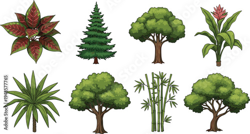 Collection of tropical plants and trees vector illustration set including bamboo, evergreen, shrubs and ornamental foliage isolated on light background for nature design elements