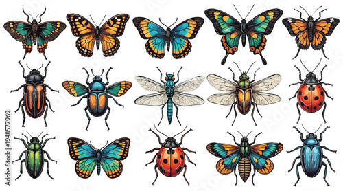 Colorful Insect Collection Featuring Butterflies Beetles Dragonfly Ladybug and Winged Bugs Detailed Entomology Set Isolated on White Background Vector Illustration