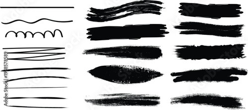 Collection of various brush strokes and lines for art and design