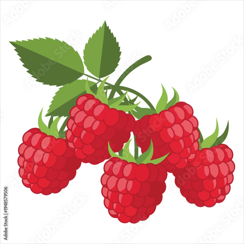 Art illustration of refreshing raspberry fruit