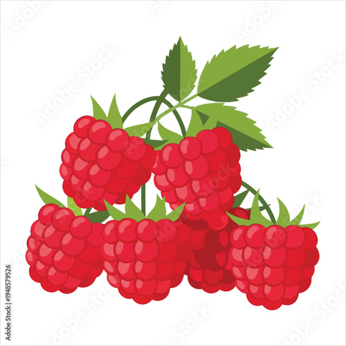 Art illustration of refreshing raspberry fruit