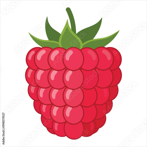 Art illustration of refreshing raspberry fruit