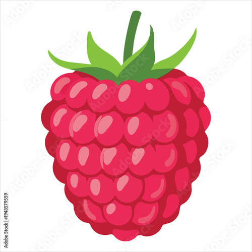 Art illustration of refreshing raspberry fruit