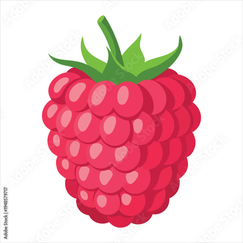 Art illustration of refreshing raspberry fruit