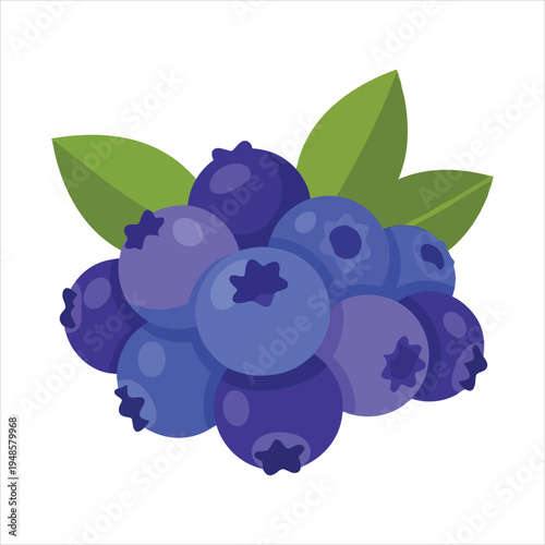 Art illustration of refreshing blueberry fruit