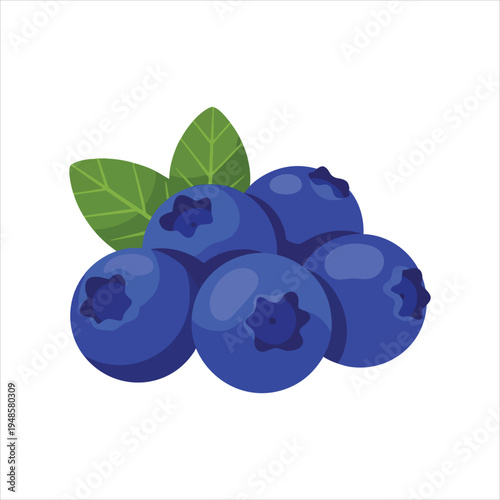 Art illustration of refreshing blueberry fruit