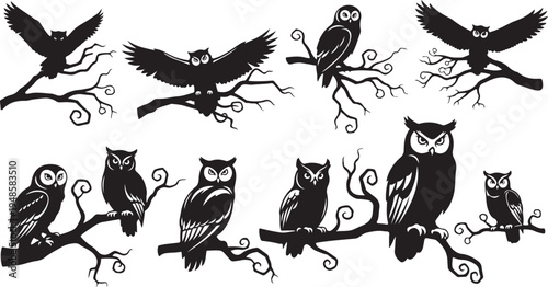Collection of owl silhouettes perched on tree branches freely