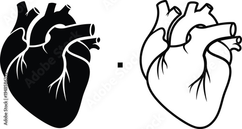 Human Heart Icon Set Silhouette and Line Art Vector