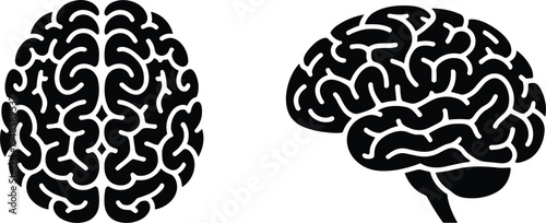 Human brain silhouette set with top view and side view perspectives showing cerebral folds isolated on white background vector illustration for neurology psychology