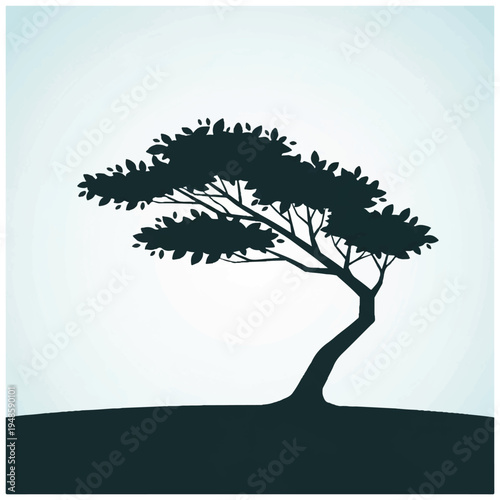 Silhouette of a Twisted Tree.