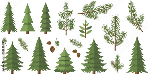 Vector set of evergreen pine trees and spruce branches with pinecones for winter holiday decor forest nature designs and mountain adventure graphics.