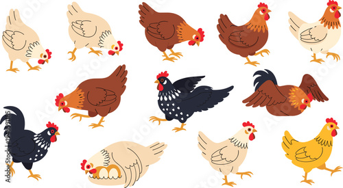 Large vector set of diverse chicken and hen characters in various poses including walking pecking and brooding isolated on a white background.