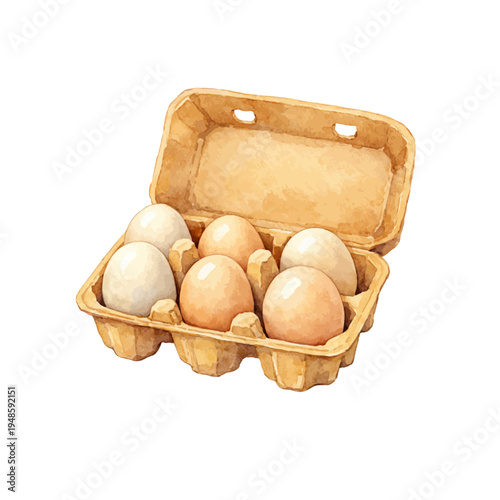 A watercolor vector of a box of eggs for farm food designs, breakfast ingredient themes, and fresh organic produce illustrations.