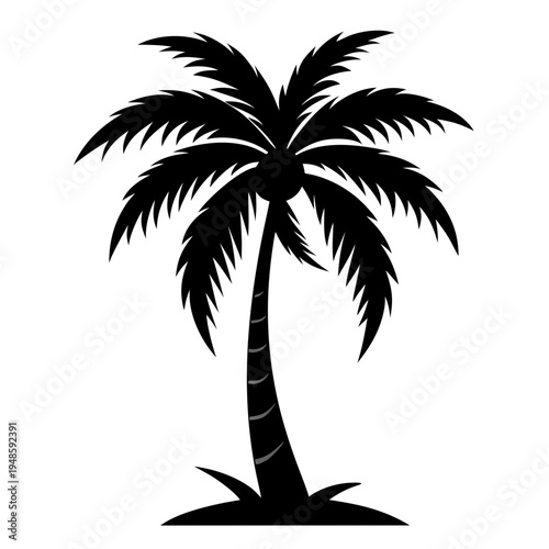 palm tree silhouette