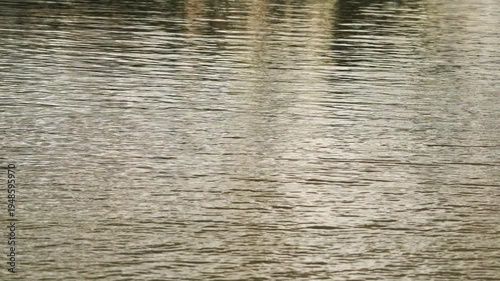 清流の水面の揺らぎ4