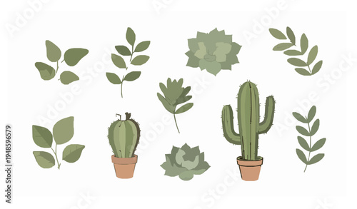Cute nature plant illustration collection with succulents cactus and leafy greenery