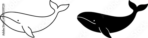 Whale illustration icon, outline and silhouette, for animal or wildlife design